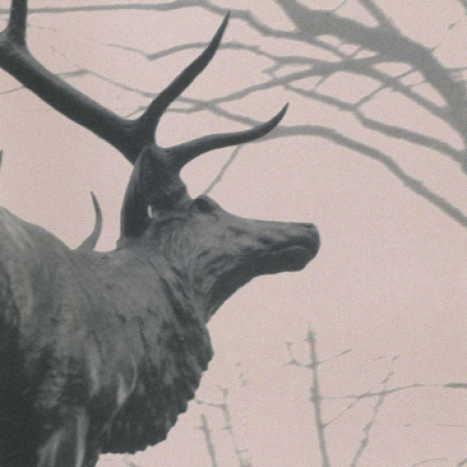Agalloch Concerts in Boston